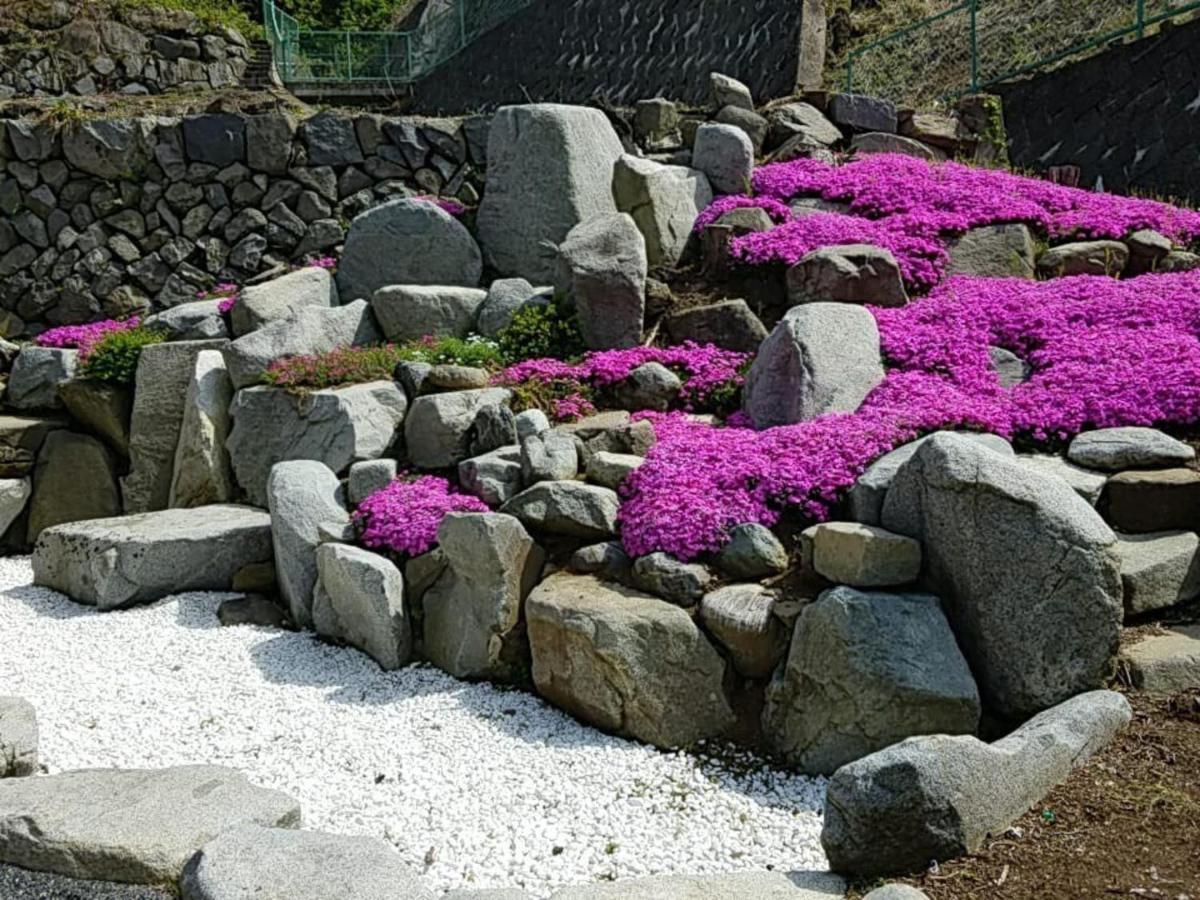 Siawase No Yado Shared With Host - Vacation Stay 68283V Fuefuki Kültér fotó